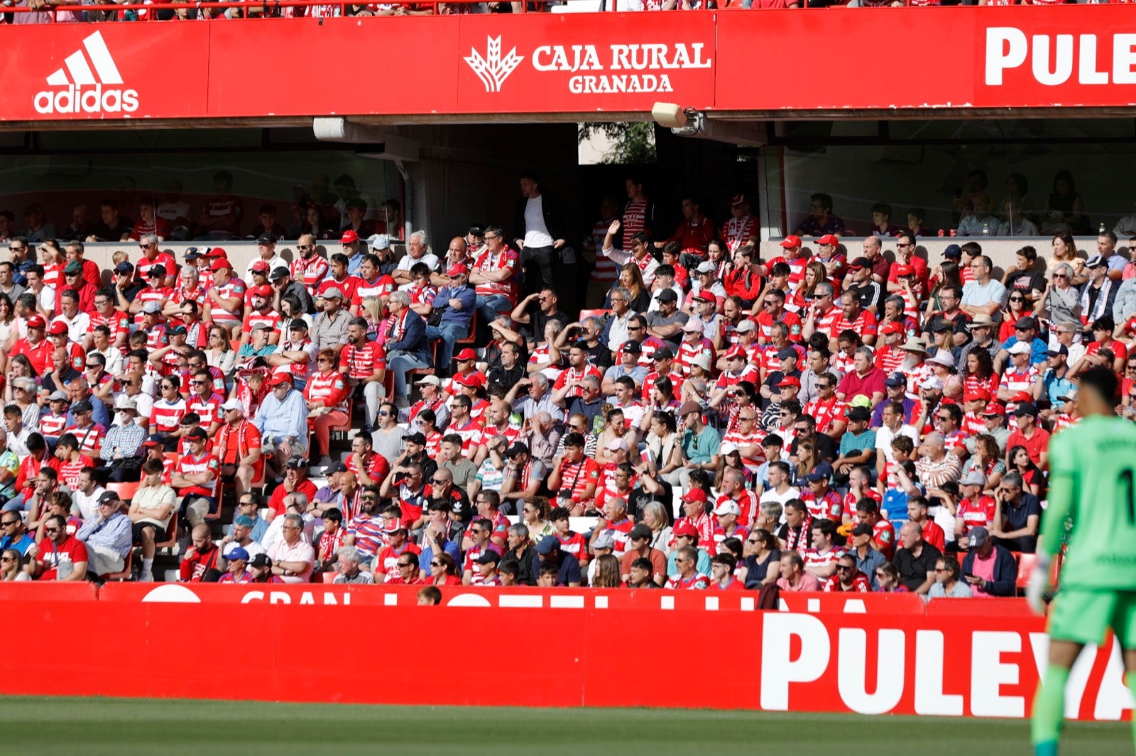 Encuéntrate en la grada en el Granada-Lugo