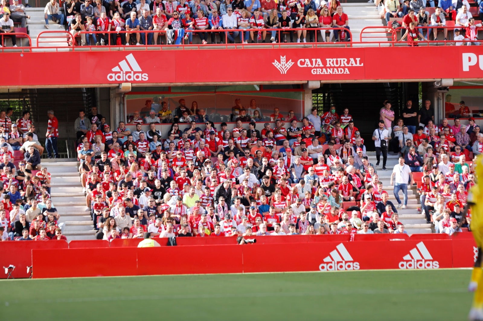 Encuéntrate en la grada en el Granada-Lugo