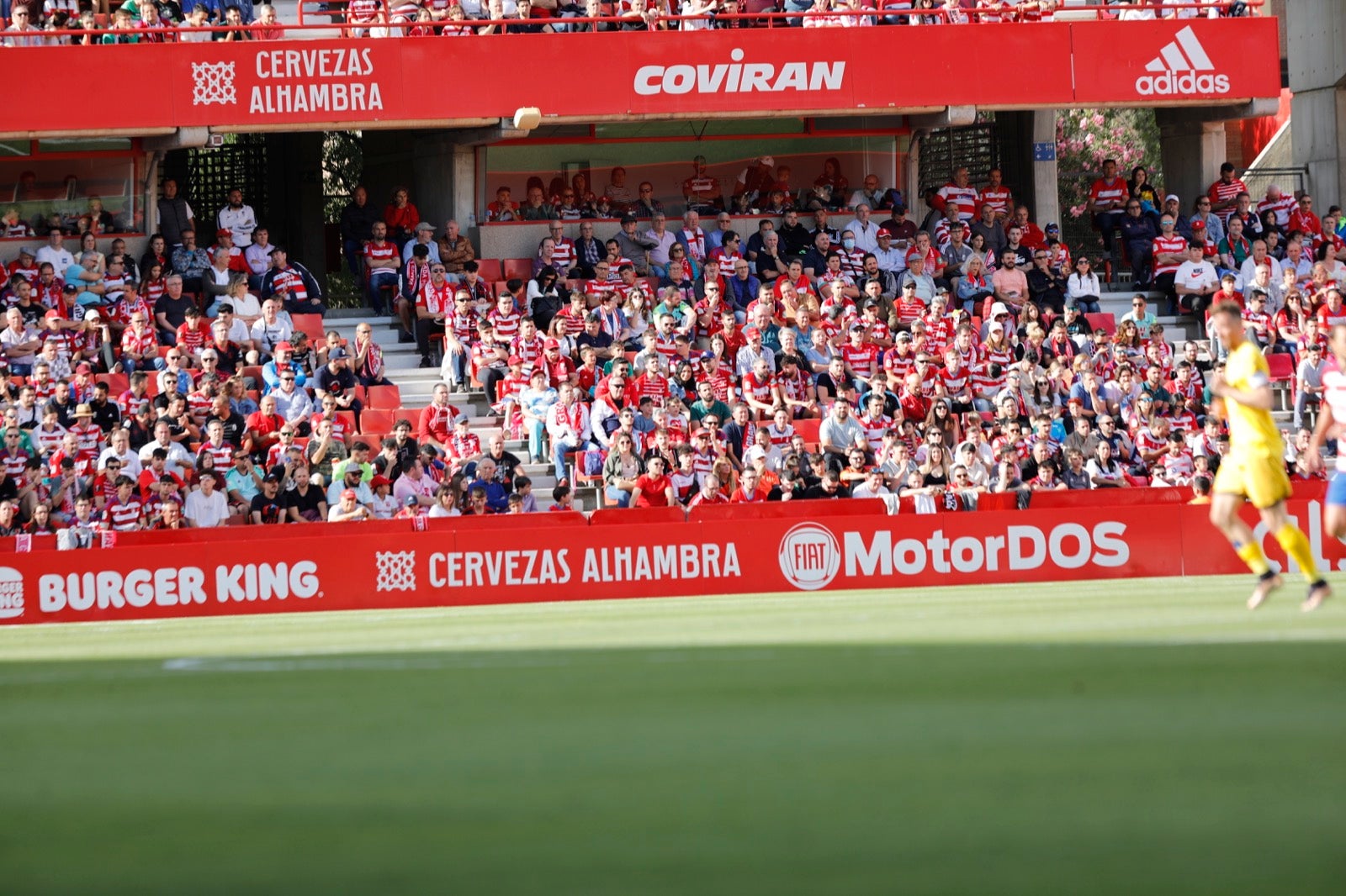 Encuéntrate en la grada en el Granada-Lugo