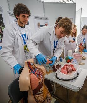 Imagen secundaria 2 - Las carpas de la 25 Feria de la Ciencia, con algunos de los experimentos en su interior. 