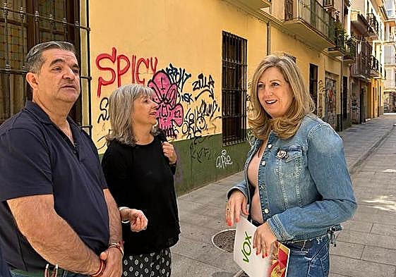 VOX propone endurecer las sanciones por pintadas en los barrios de Granada