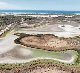 Laguna de Doñana sin agua por los efectos de la sequía.