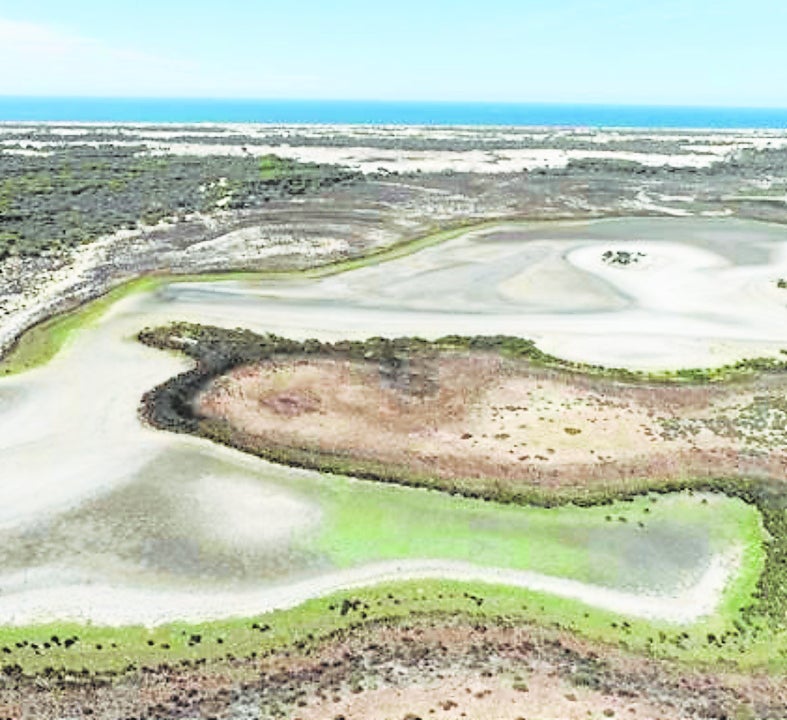 Laguna de Doñana sin agua por los efectos de la sequía.