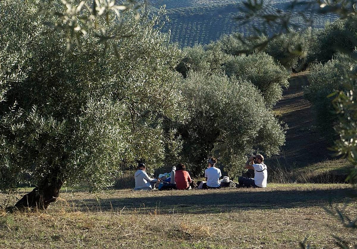 El cambio climático ha sido la temática de este año.