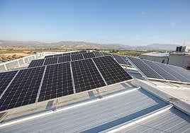 Placas solares en un tejado.