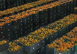 Las exportaciones agroalimentarias suben un 5,2% en el primer trimestre