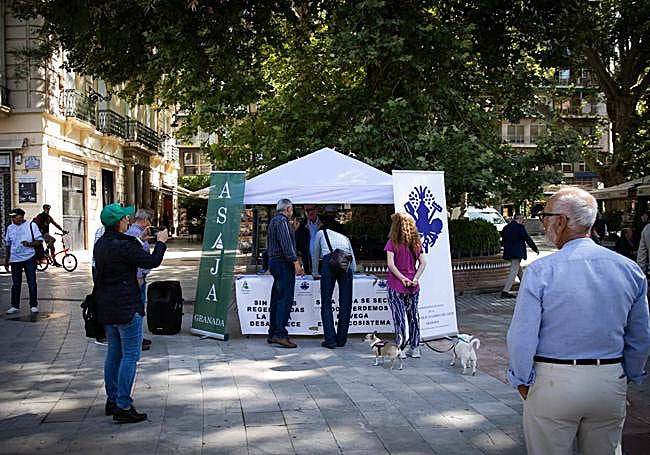 Vecinos se acercan al puesto de los regantes y Asaja.
