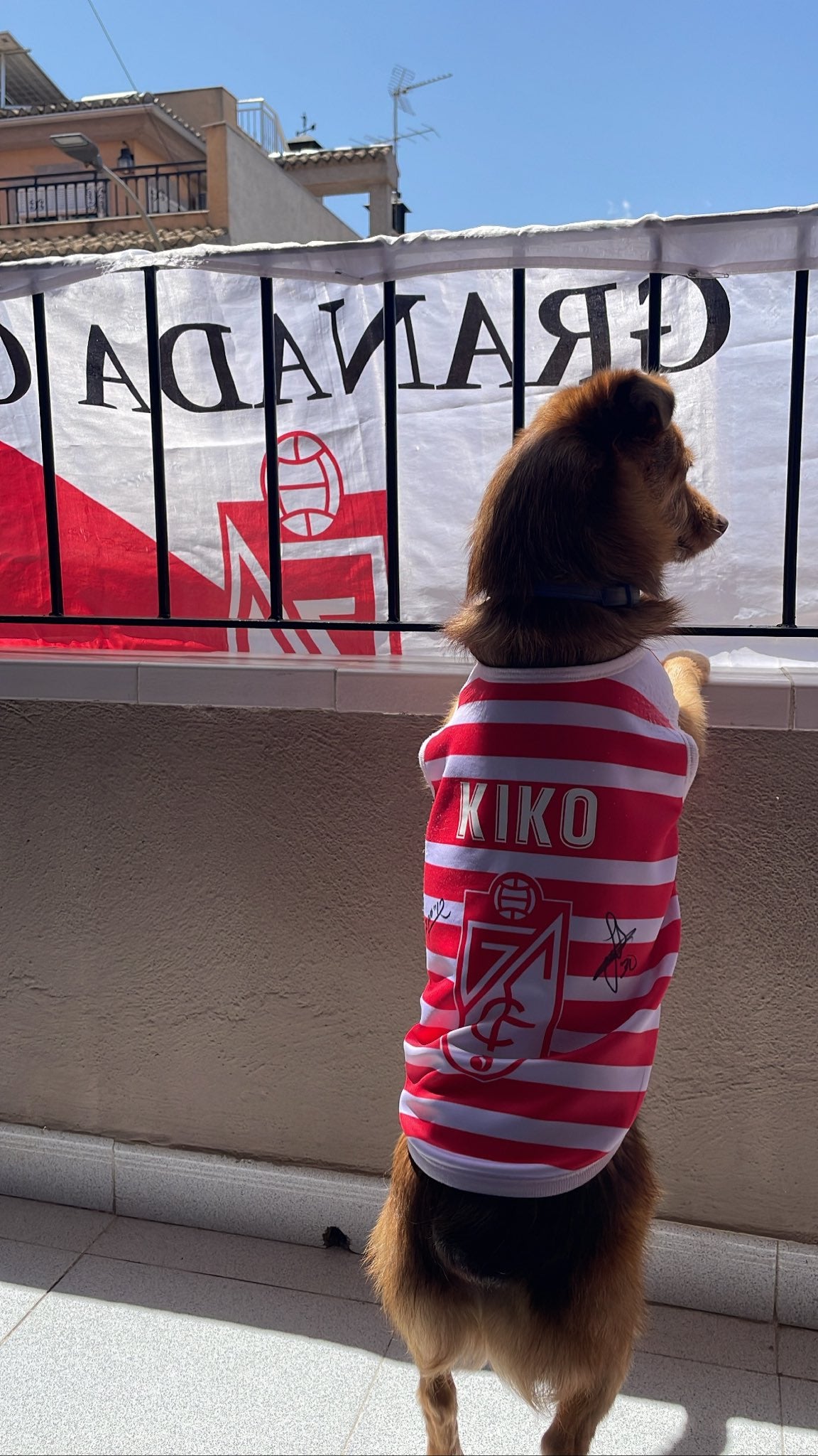 Granada saca sus banderas rumbo a Primera