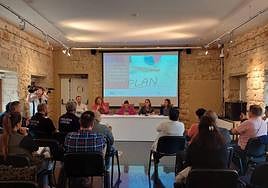 Celebración de la mesa de trabajo en la que se presentó el informe de diagnóstico del futuro Plan de Infancia.