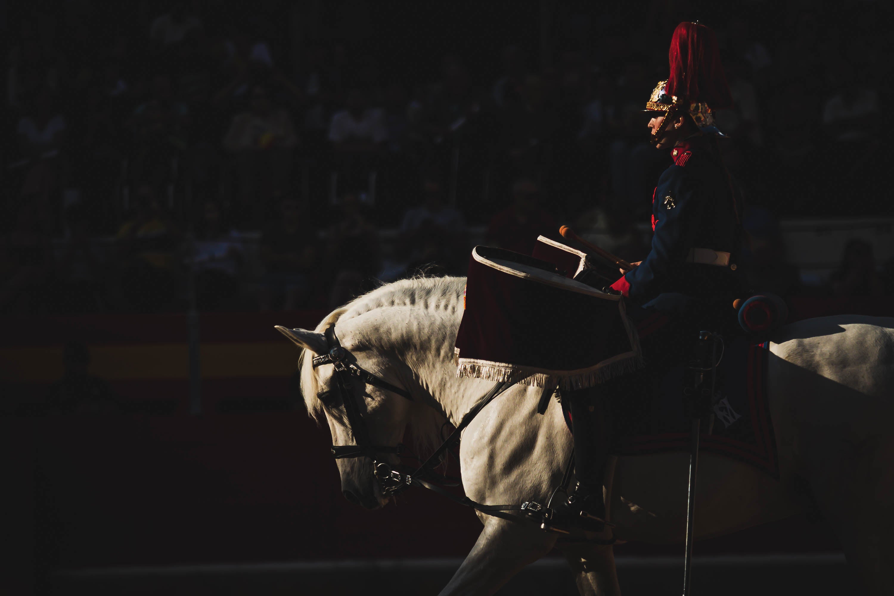 La exhibición militar en la plaza de toros, en imágenes