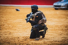 Momentos de la exhibición militar en la plaza de toros de Granada