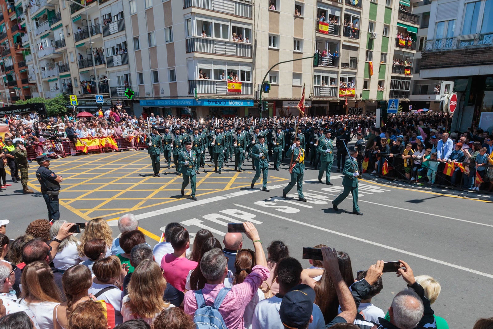 Las imágenes de los granadinos disfrutando del desfile de las Fuerzas Armadas