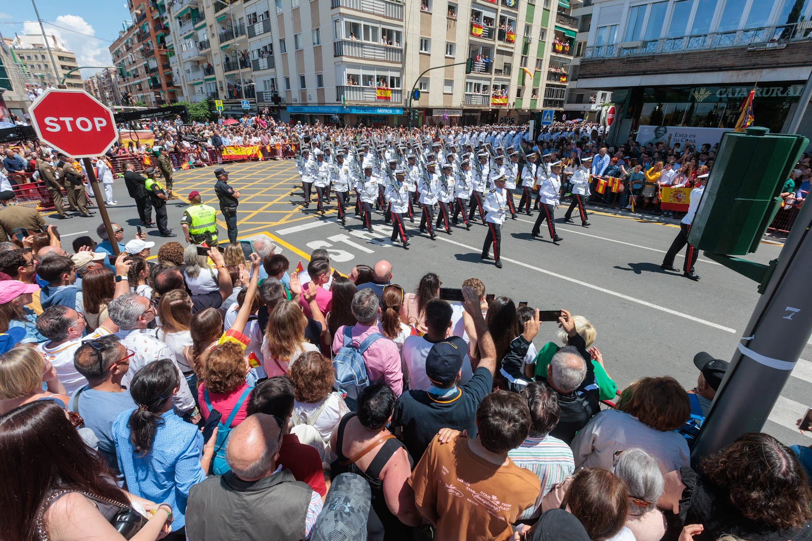 Las imágenes de los granadinos disfrutando del desfile de las Fuerzas Armadas