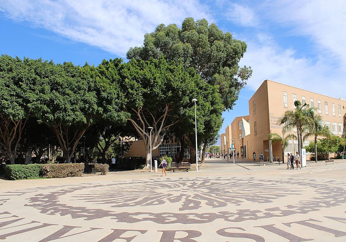 La Universidad de Almería potencia sus másteres y doctorados para la capacitación profesional