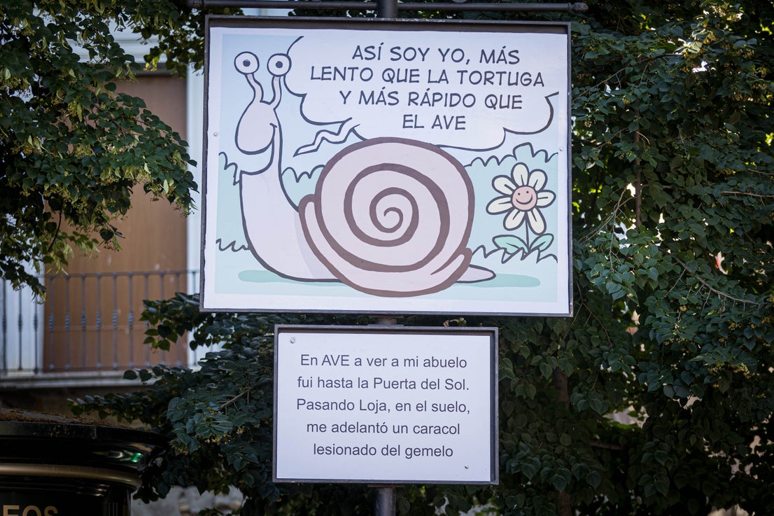 Las carocas ganadoras que recorren la Plaza de Bibrambla