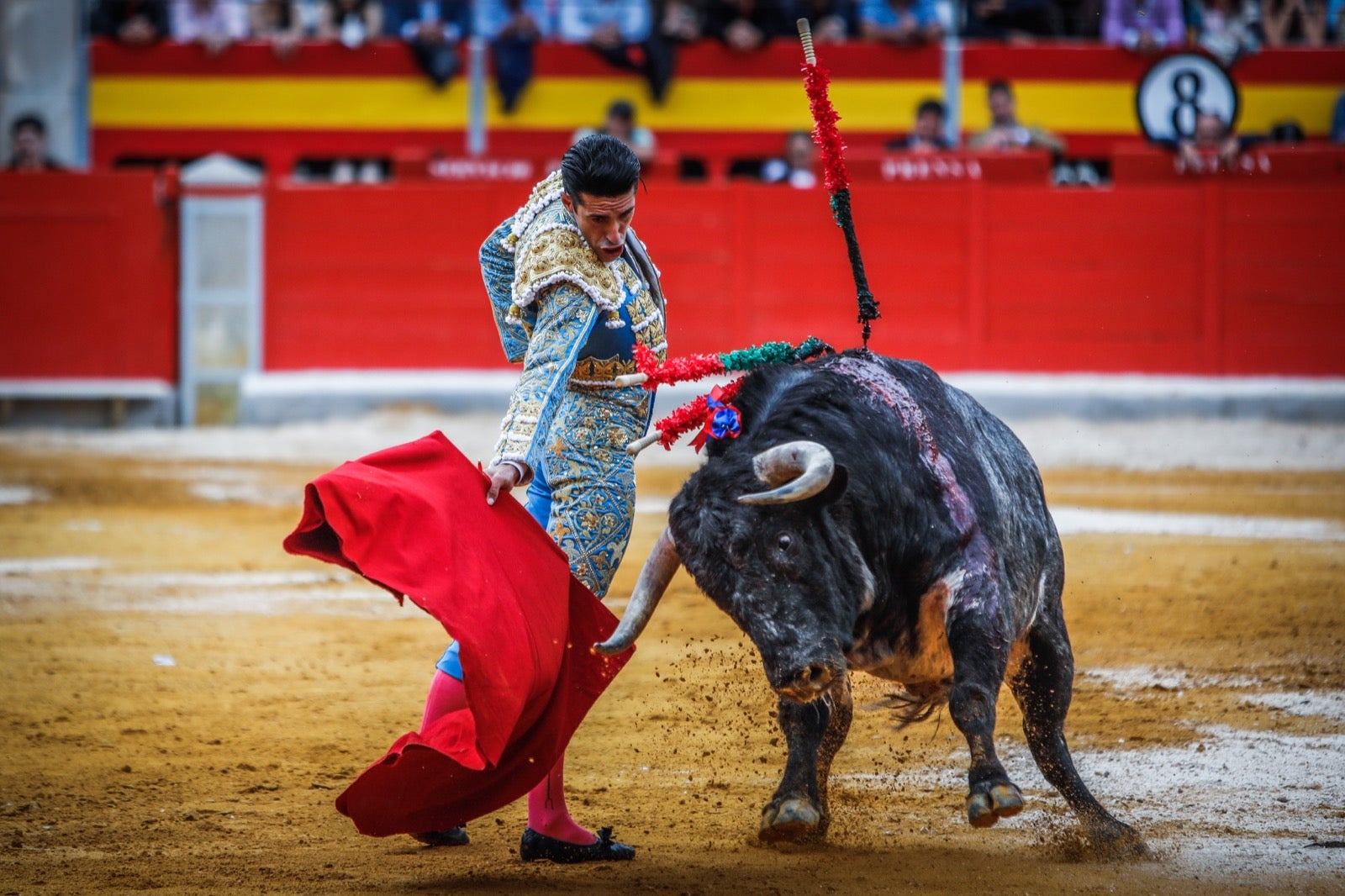 La corrida del Corpus, en imágenes