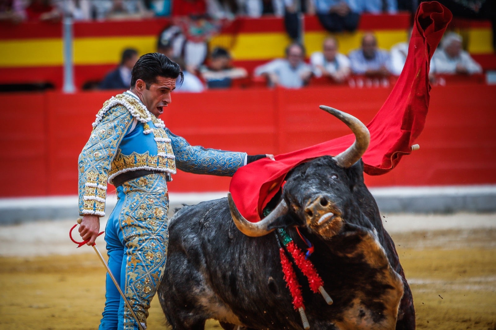 La corrida del Corpus, en imágenes