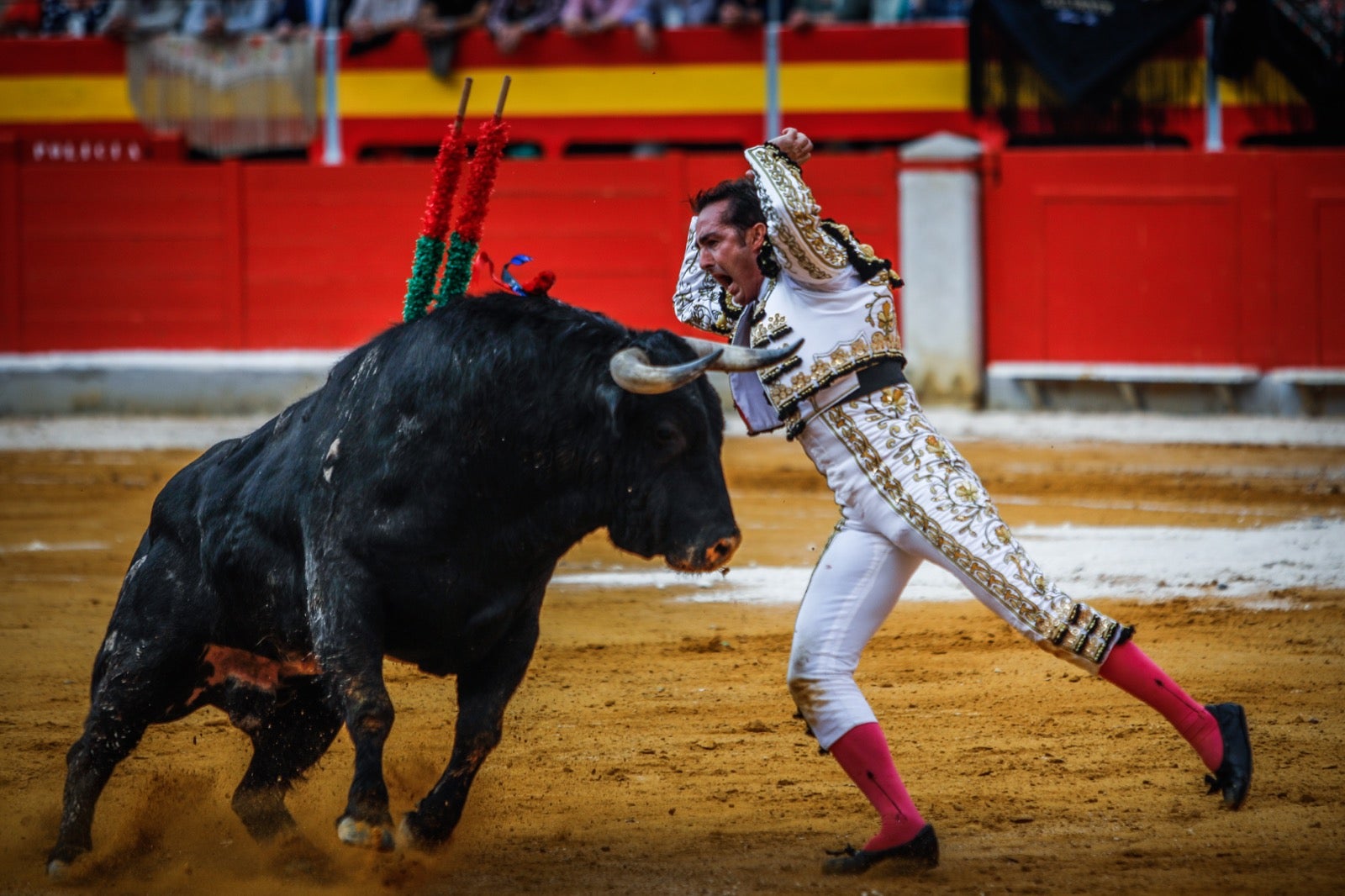 La corrida del Corpus, en imágenes