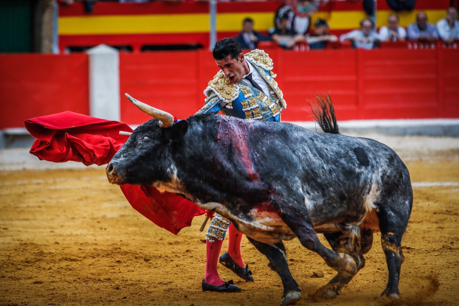 La corrida del Corpus, en imágenes