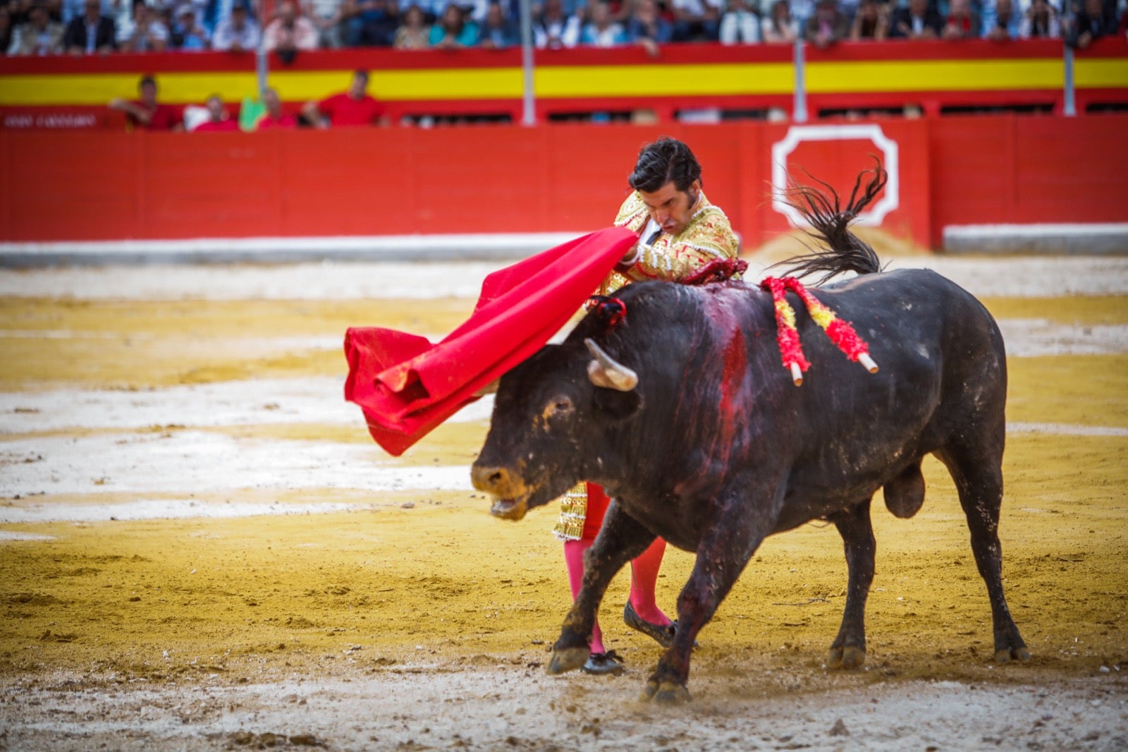 La corrida del Corpus, en imágenes