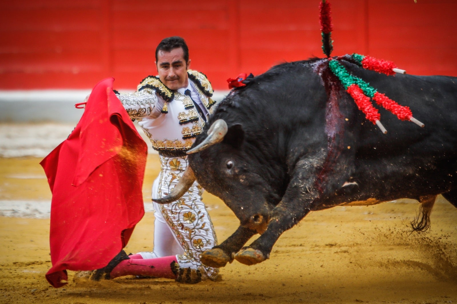 La corrida del Corpus, en imágenes