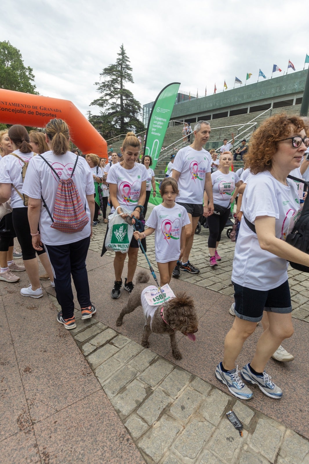 Granada marcha contra el cáncer