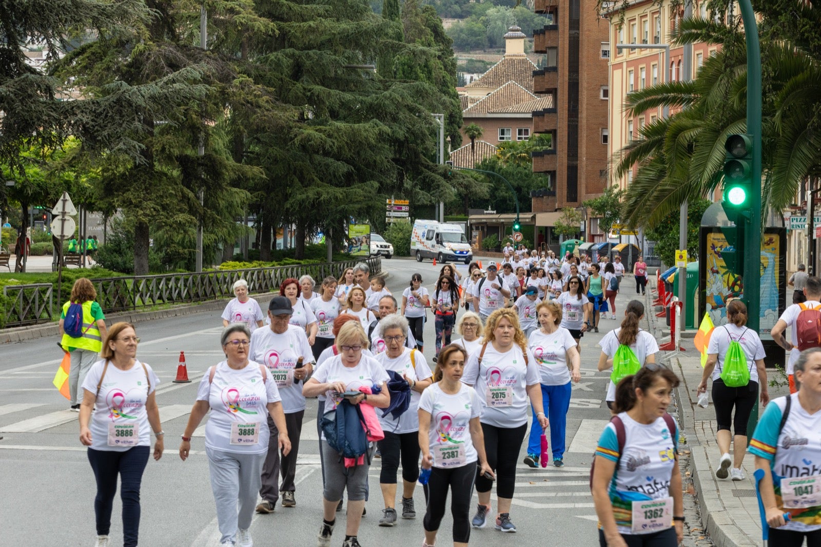 Granada marcha contra el cáncer