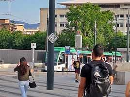 Imagen del tren detenido junto a la estación de ferrocarril.