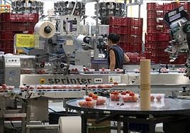 Las instalaciones de Grupo La Caña, una de las grandes exportadoras granadinas, en Motril.