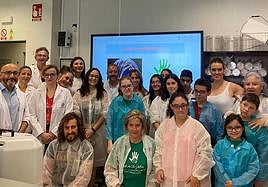 Asistentes al taller organizado por la UJA.