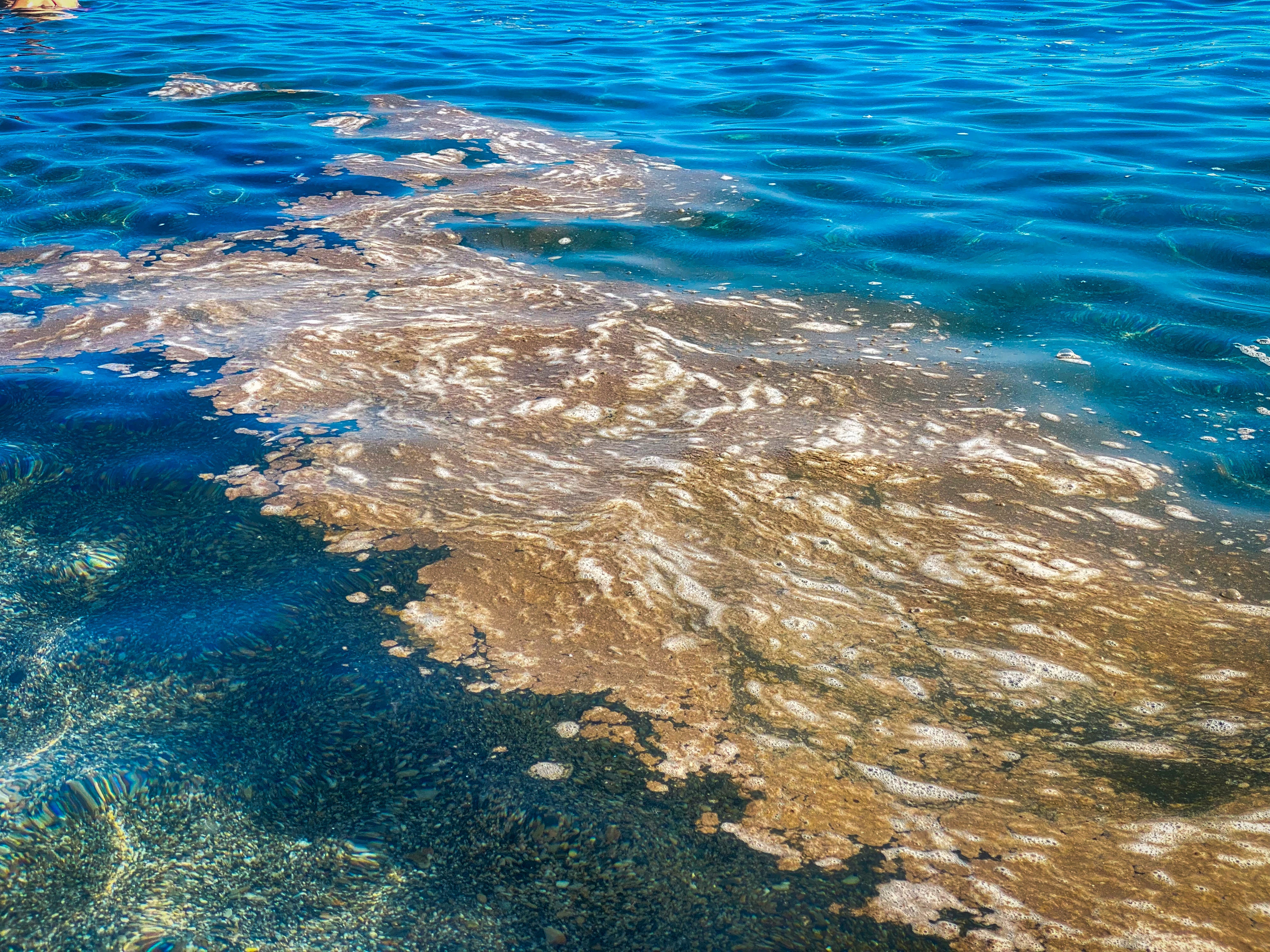 Las imágenes de la &#039;mancha&#039; en las playas de Granada