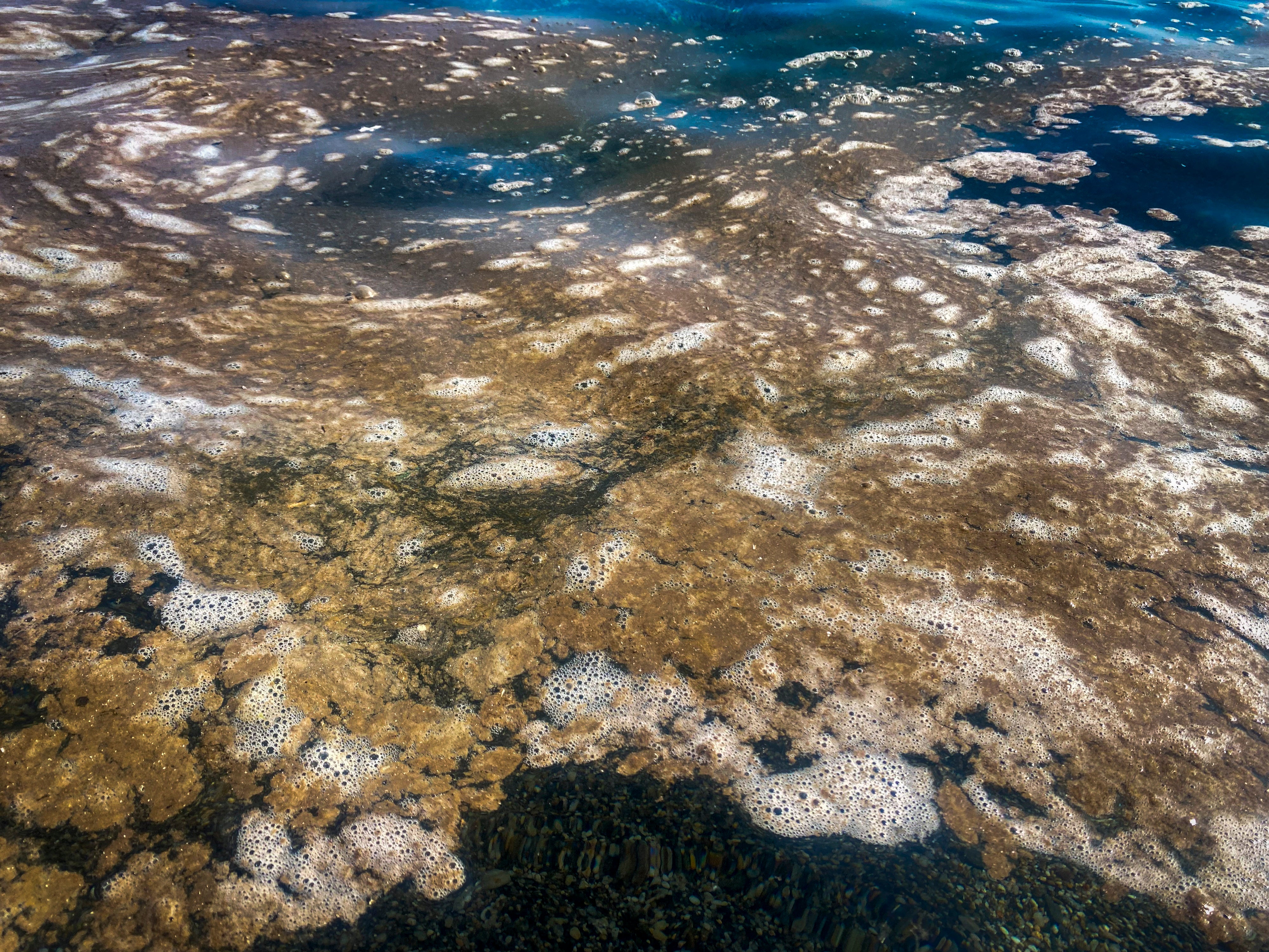 Las imágenes de la &#039;mancha&#039; en las playas de Granada