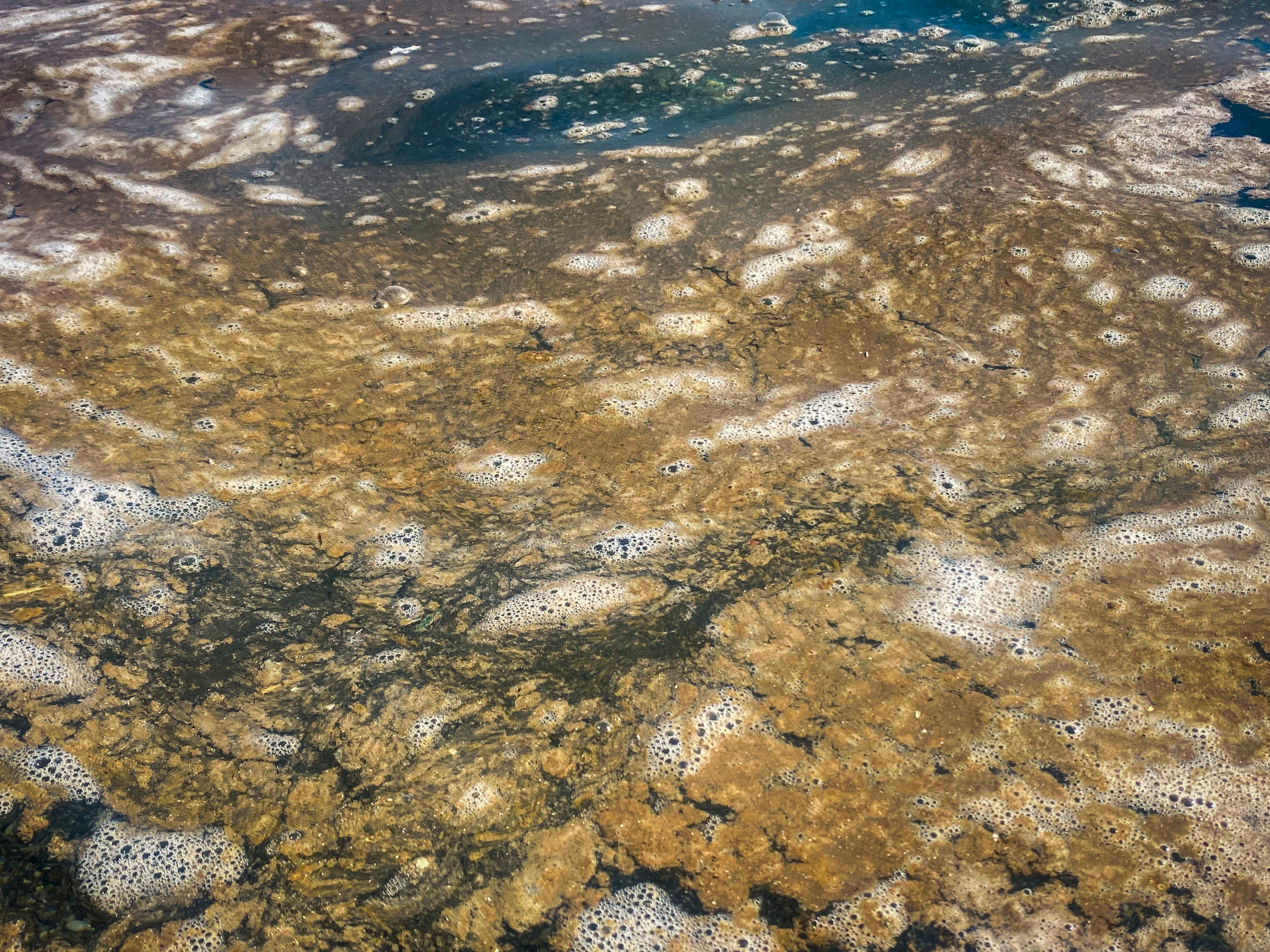 Las imágenes de la &#039;mancha&#039; en las playas de Granada