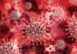 Estas son las enfermedades que vigila la OMS por su «potencial pandémico».