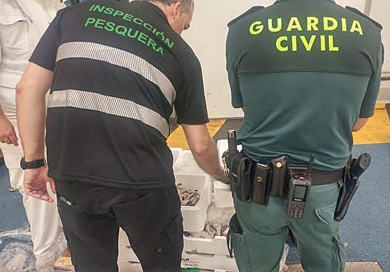 Efectivos de la Guardia Civil durante el decomiso.