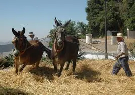 Ugíjar celebrará durante tres días la Fiesta de la Parva en las Eras del Cerro