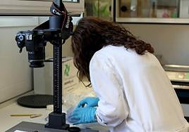 Investigadora de la Universidad de Jaén de arqueología.