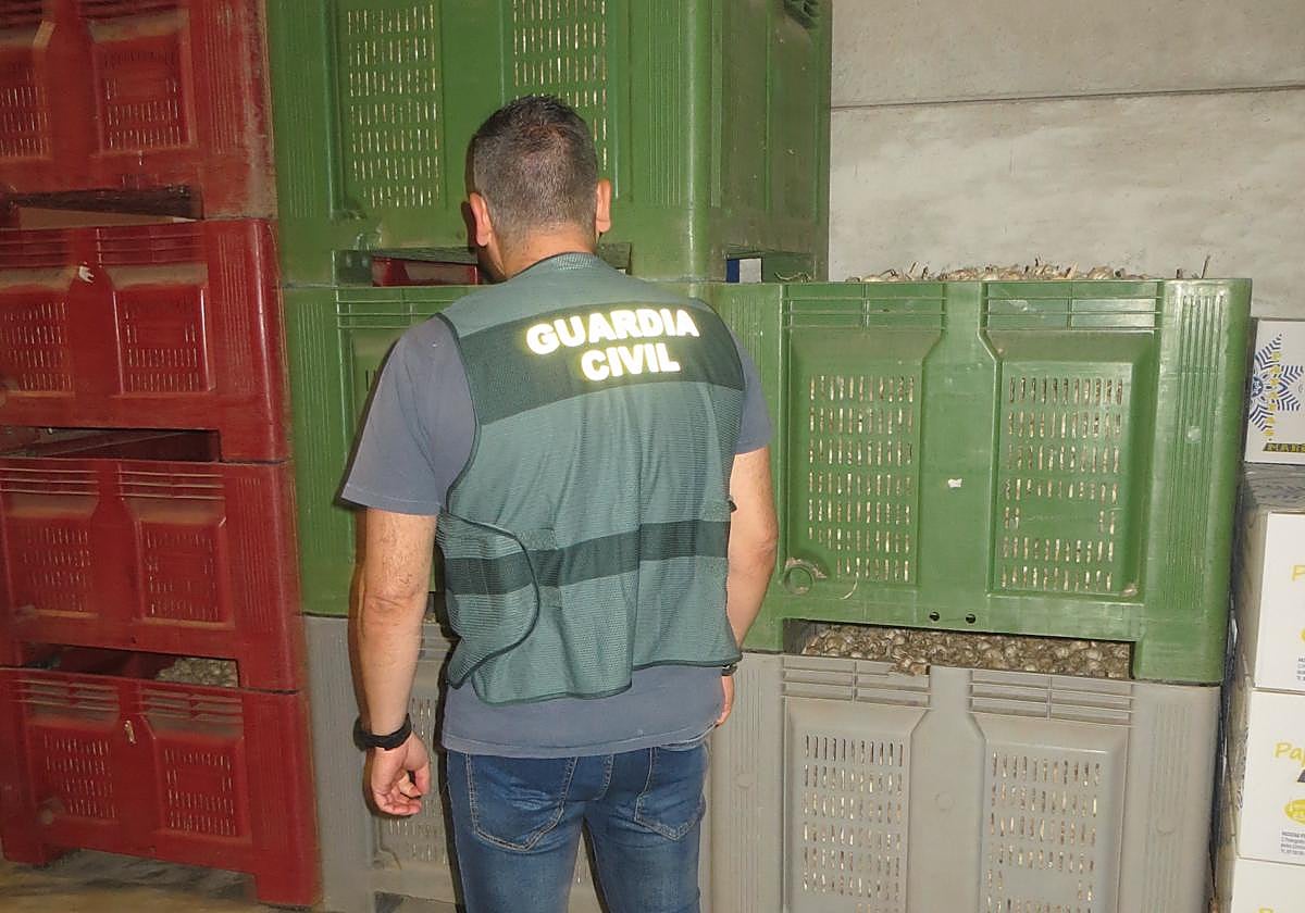 Parte del material recuperad.