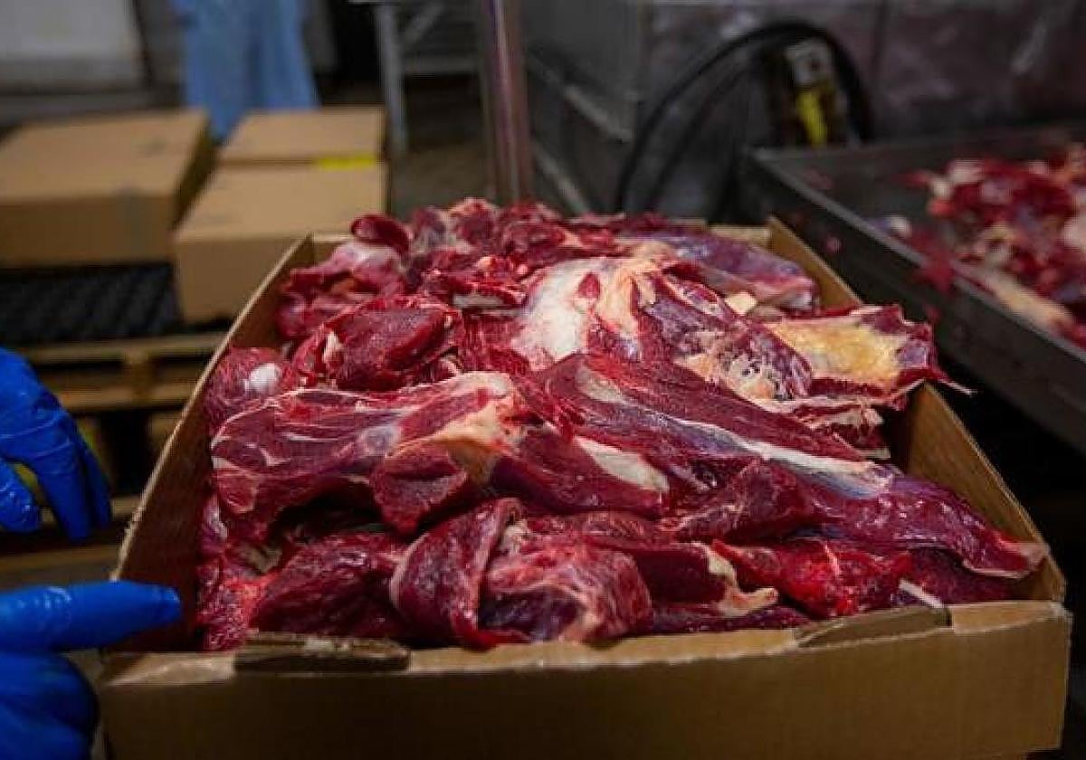 Los expertos avisan de las infecciones por zoonosis.