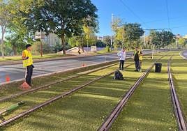 Trabajos de limpieza en el trazado del tranvía de Jaén.