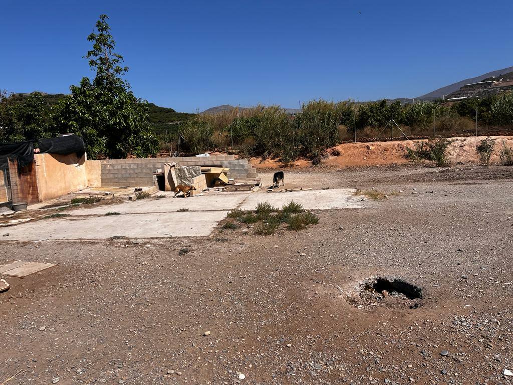 Instalaciones de la perrera municipal.