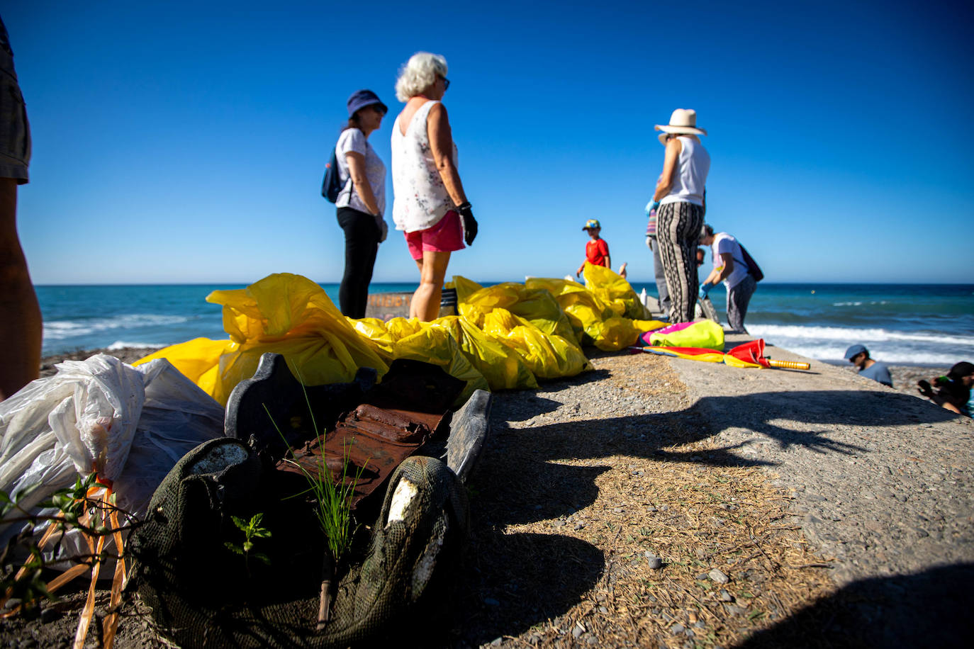 Las imágenes de la limpieza del Guadalfeo