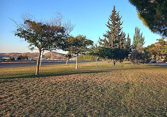 Zona verde en la zona central de la Carretera de Granada.