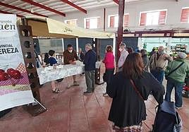 Mercado municipal de abastos de Castillo de Locubín, uno de los benefiados con las ayudas.