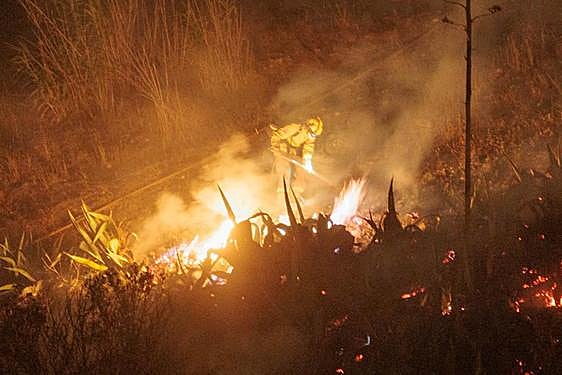Bomberos y efectivos del Infoca luchan contra las llamas en el entorno de la abadía del Sacromonte