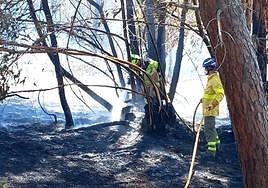 Efectivos de Infoca trabajan en un incendio forestal.