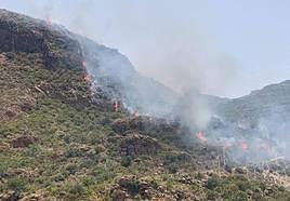 Incendio forestal ocurrido en Turre en julio.