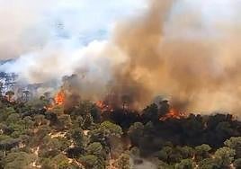 Vista aérea del incendio declarado este domingo.