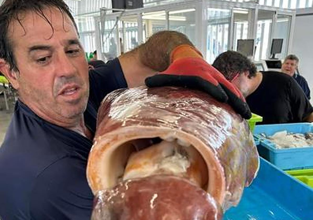 Los pescadores, con el calamar.