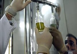 La sequía dispara el precio del aceite de oliva y el consumo cae